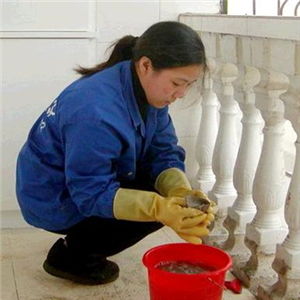 一帆家政服务产品介绍及健身服务整合方案